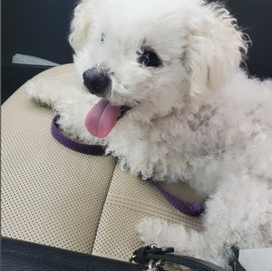 Meet your Posher, Krissy